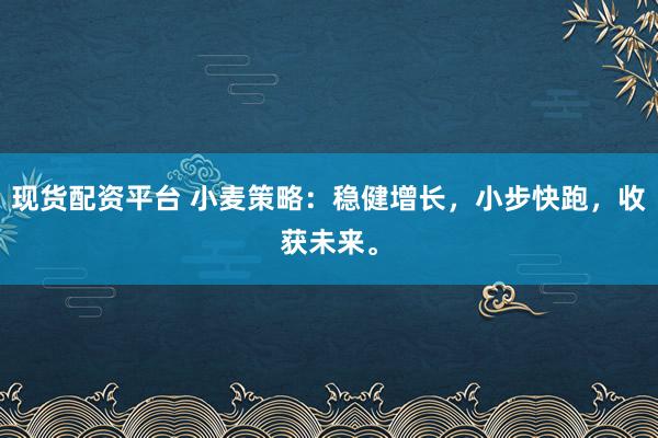 现货配资平台 小麦策略：稳健增长，小步快跑，收获未来。