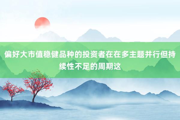偏好大市值稳健品种的投资者在在多主题并行但持续性不足的周期这