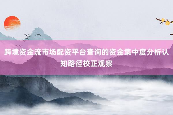 跨境资金流市场配资平台查询的资金集中度分析认知路径校正观察