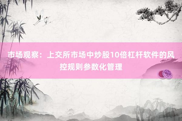 市场观察：上交所市场中炒股10倍杠杆软件的风控规则参数化管理