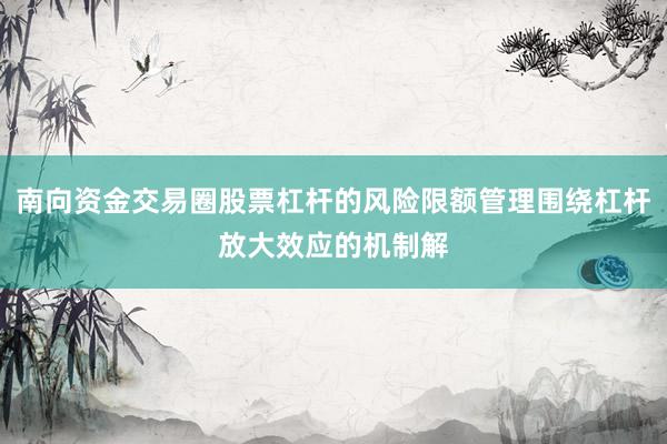 南向资金交易圈股票杠杆的风险限额管理围绕杠杆放大效应的机制解