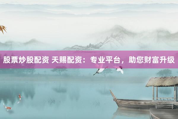 股票炒股配资 天赐配资：专业平台，助您财富升级
