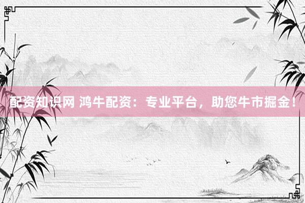配资知识网 鸿牛配资：专业平台，助您牛市掘金！