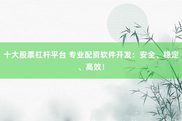 十大股票杠杆平台 专业配资软件开发：安全、稳定、高效！