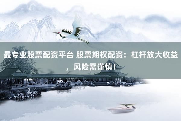 最专业股票配资平台 股票期权配资:杠杆放大收益,风险需谨慎!